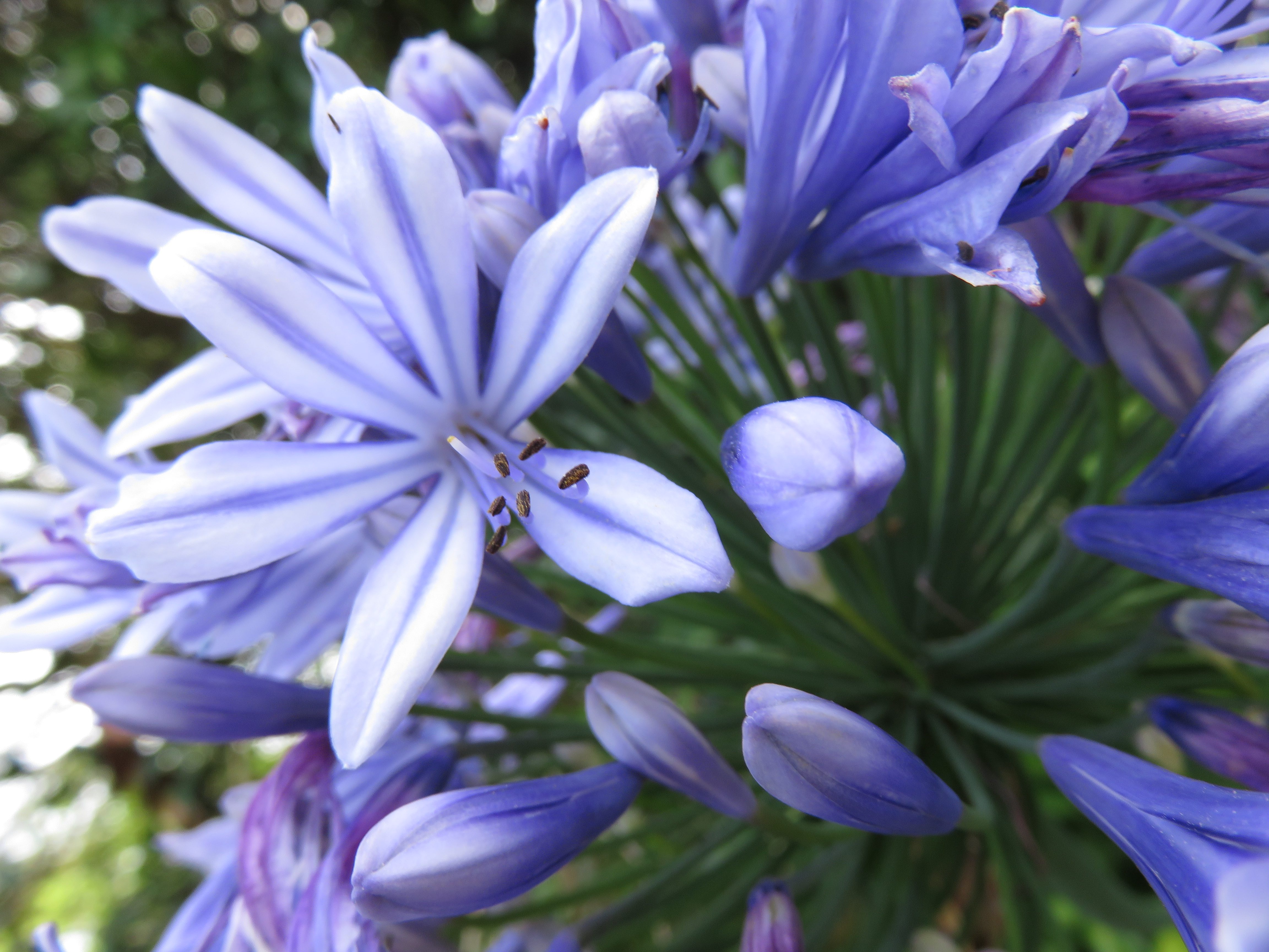 The garden's story, from small beginnings