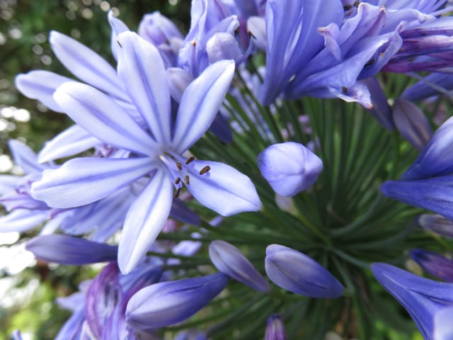 jan-2015-099-copy.jpg