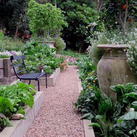 vege-garden-nov-2015.jpg